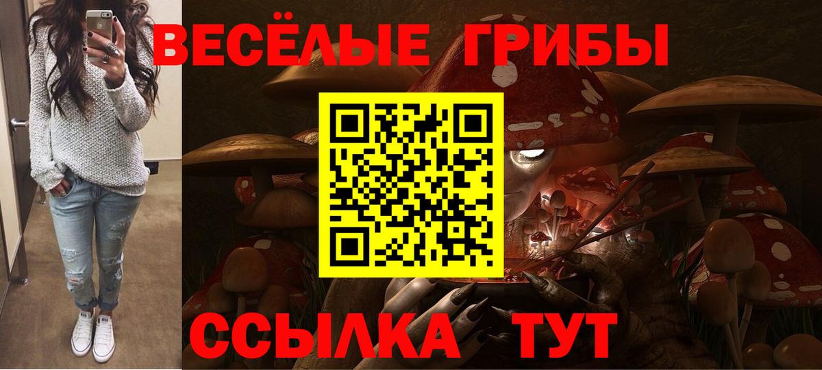 Галлюциногенные грибы прущие грибы  Вход с VPN  Соликамск 